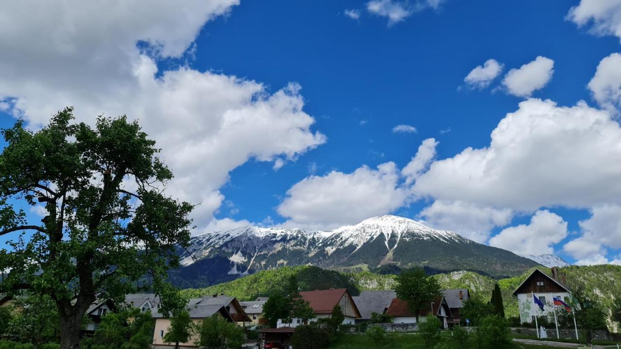 Guesthouse Osvald Zirovnica Exteriér fotografie