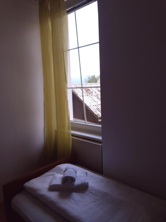 Guesthouse Osvald Zirovnica Exteriér fotografie