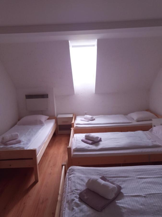 Guesthouse Osvald Zirovnica Exteriér fotografie